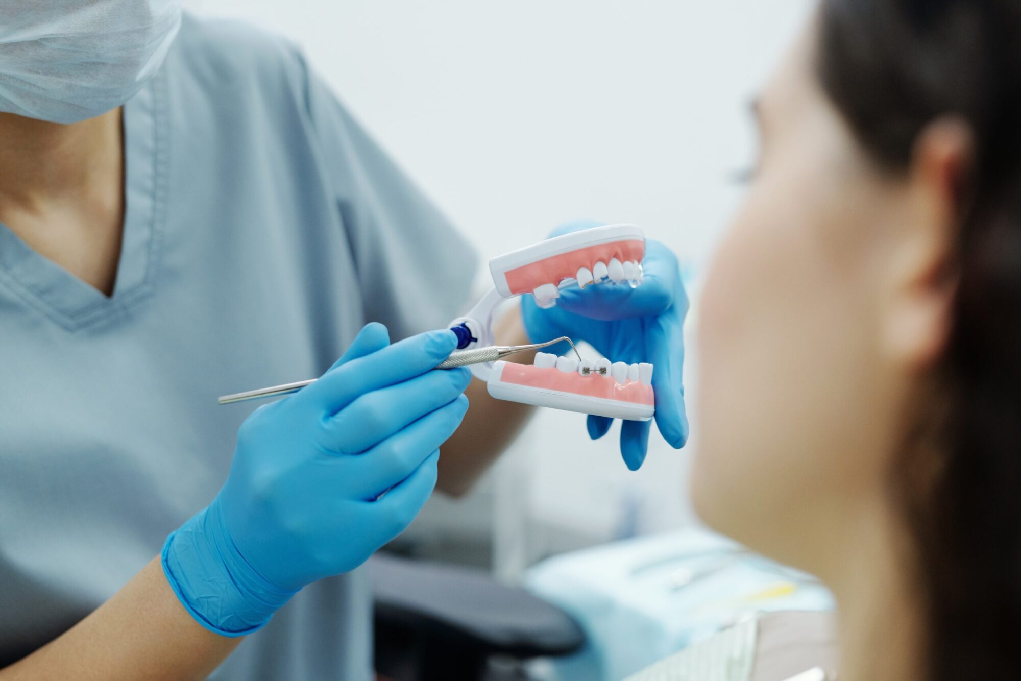 orthodontist showing model teeth to patient